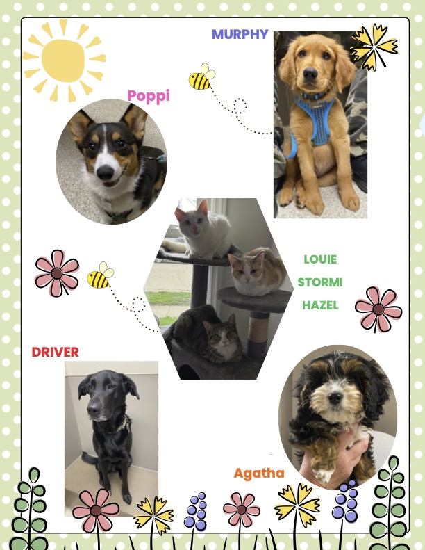 April May Newsletter 2026 page 2 