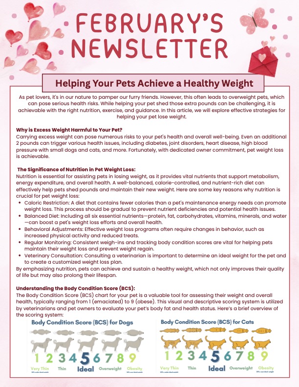 Feb 2026 newsletter page 1 