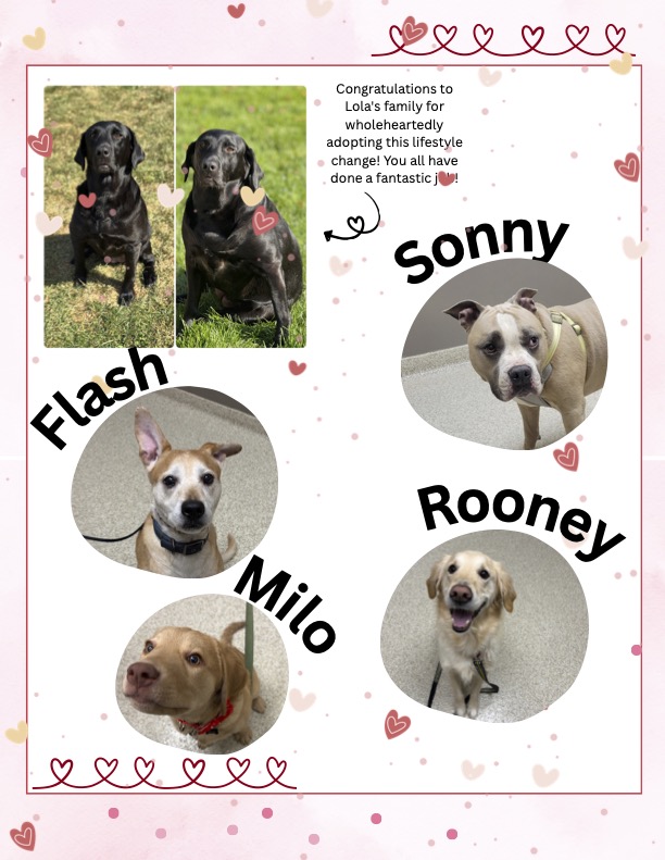 Feb 2026 Newsletter page 2 