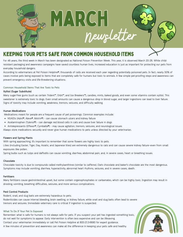 March 2026 Newsletter page1 