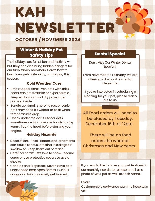 Oct/Nov 2025 Newsletter 1