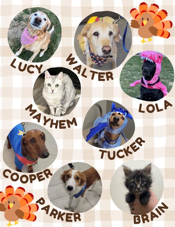 Oct/Nov 2025 Newsletter 2