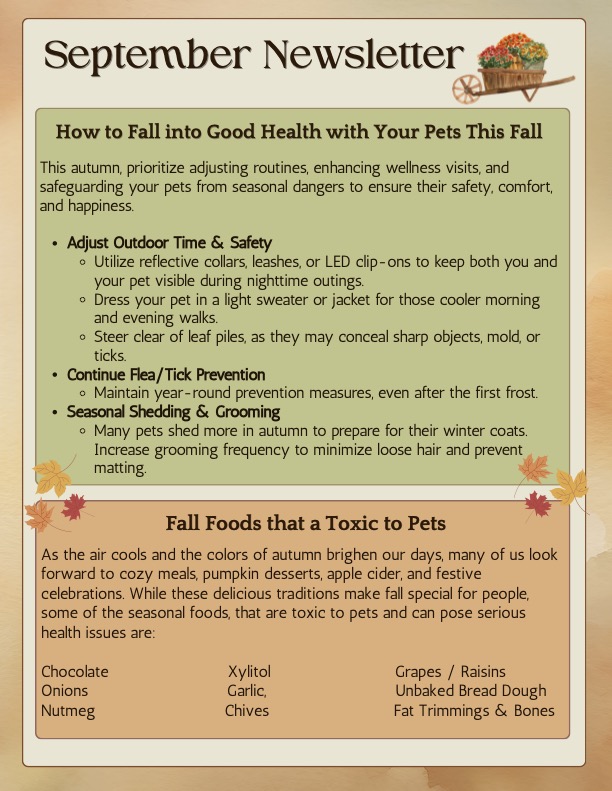 Sept 2026 Newsletter 1