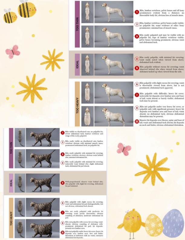 April/May newsletter page 2 