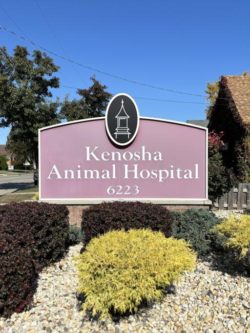 Veterinary hospital in&nbsp; [practice:city]