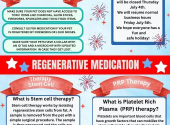 July 2024 Newsletter