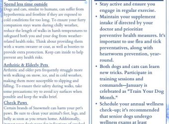 January 2025 Newsletter