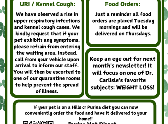 March 2025 Newsletter